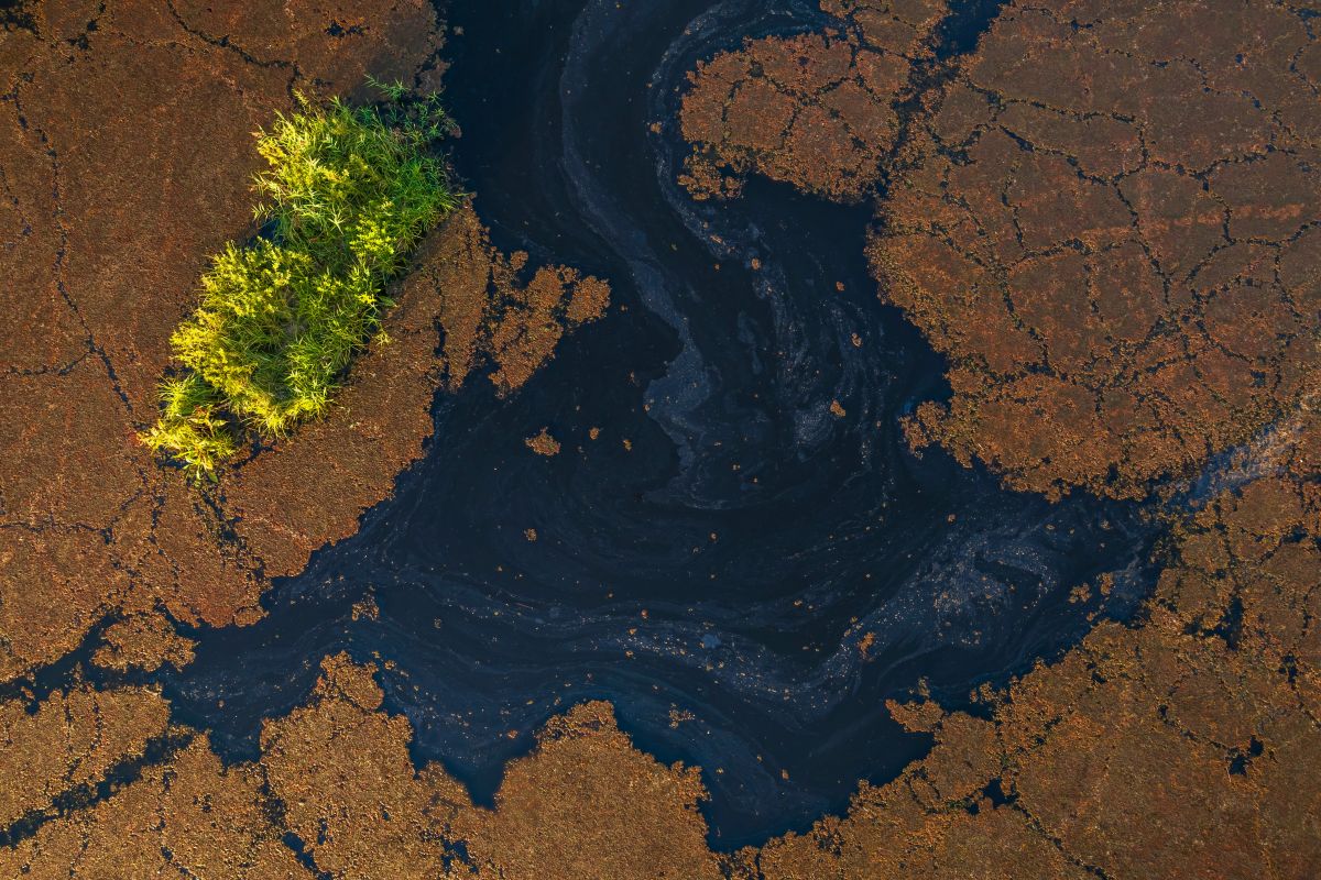 Alergije vam se pogoršavaju? Možda je zbog klimatskih promjena
